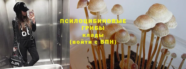 индика Сосновый Бор