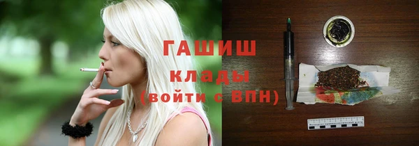 индика Сосновый Бор