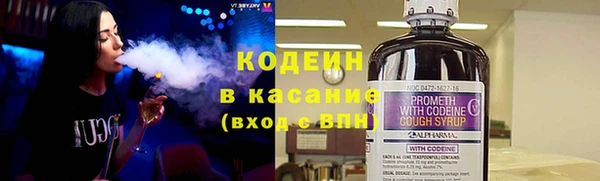 индика Сосновый Бор