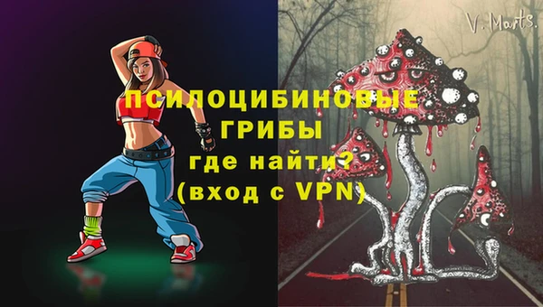 соль курить ск Алзамай