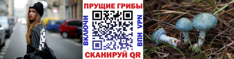 Псилоцибиновые грибы ЛСД  купить наркотик  Андреаполь 